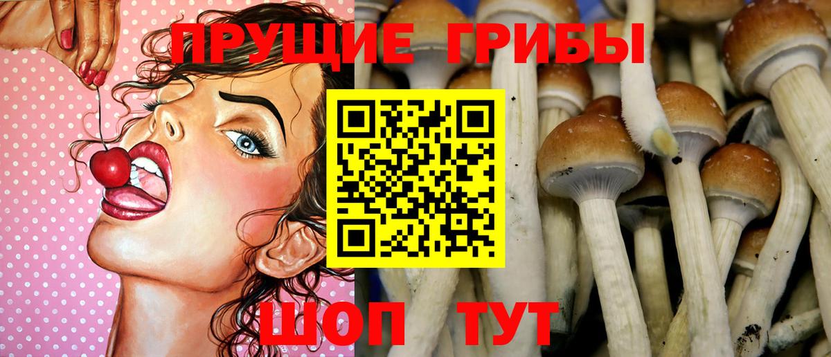 Псилоцибиновые грибы ЛСД  Вход с VPN  где продают наркотики  Псилоцибиновые грибы прущие грибы  Новошахтинск 
