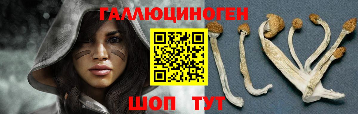 Галлюциногенные грибы Cubensis Новошахтинск